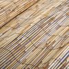 vidaXL Reed fence 59.1"x196.9"